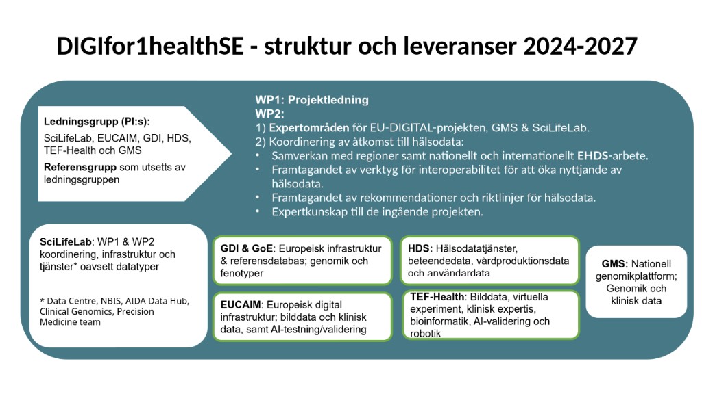 DIGIfor1healthSE – struktur och leveranser 2024–2027: ledningsgrupp, referensgrupp, arbetspaket och partnerroller (SciLifeLab, GDI och GoE, EUCAIM, HDS, TEF-Health, GMS).