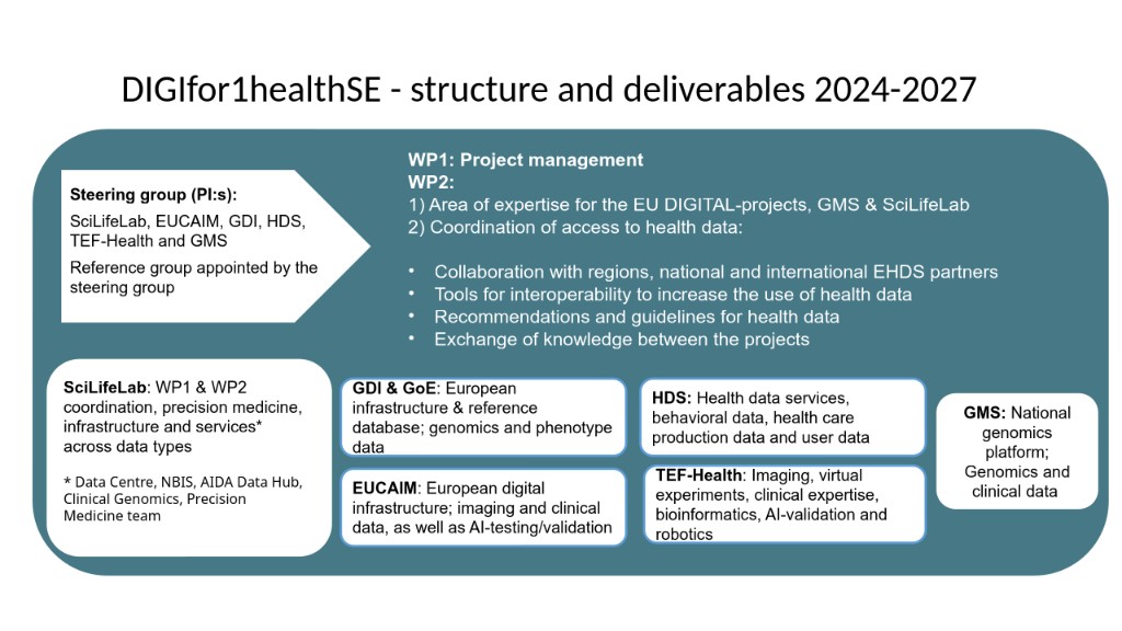 DIGIfor1healthSE — structure and deliverables 2024–2027: steering group, reference group, work packages, and partner roles (SciLifeLab, GDI and GoE, EUCAIM, HDS, TEF-Health, GMS).