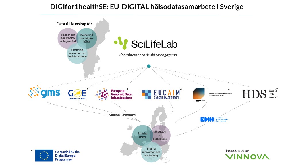DIGIfor1healthSE: EU-DIGITAL hälsodatasamarbete i Sverige — SciLifeLab koordinerar och är aktivt engagerad, med partnerinitiativ och europeiskt sammanhang.